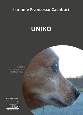 Uniko-image