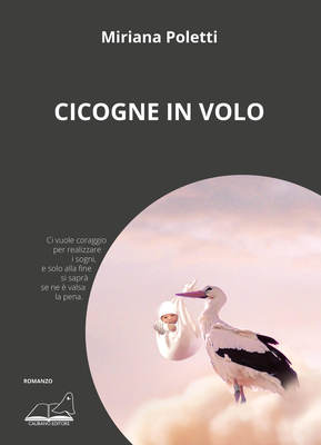 Cicogne in volo-image