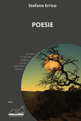 Poesie-image